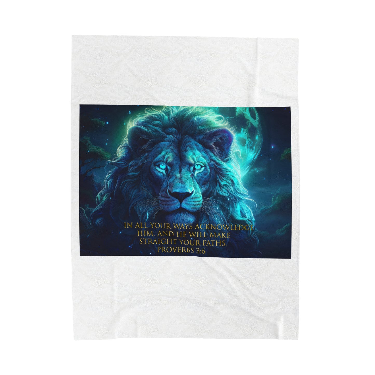 Plush Blanket - Proverbs 3:6